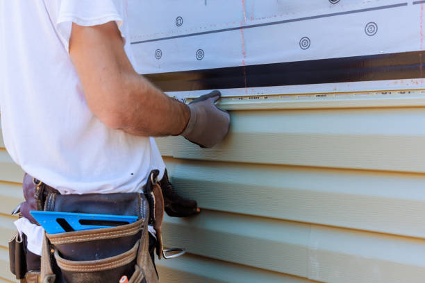 Affordable Siding Repair solutions in Rogers, MN