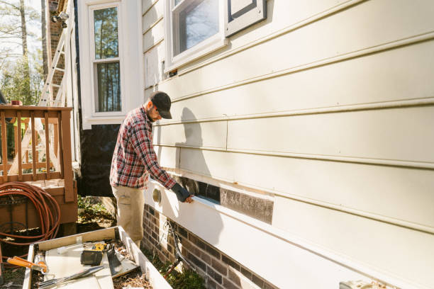 Top rated local Siding Repair specialists in Rogers, MN